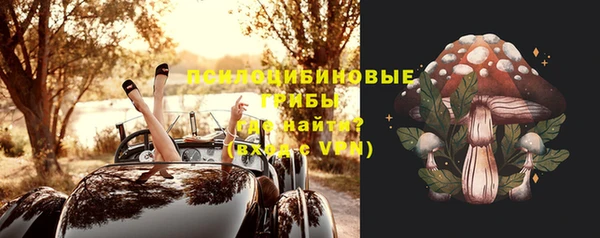 прущие крисы Михайловск