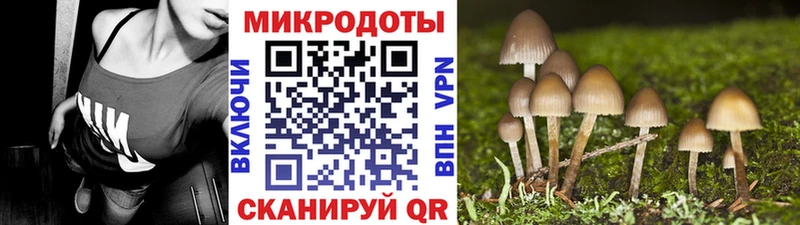 мега ТОР  Бердск  Псилоцибиновые грибы Psilocybe 
