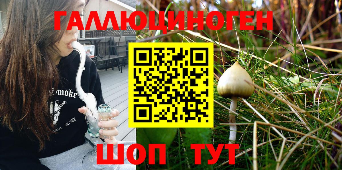 купить наркотики сайты  Бердск  Псилоцибиновые грибы мухоморы 
