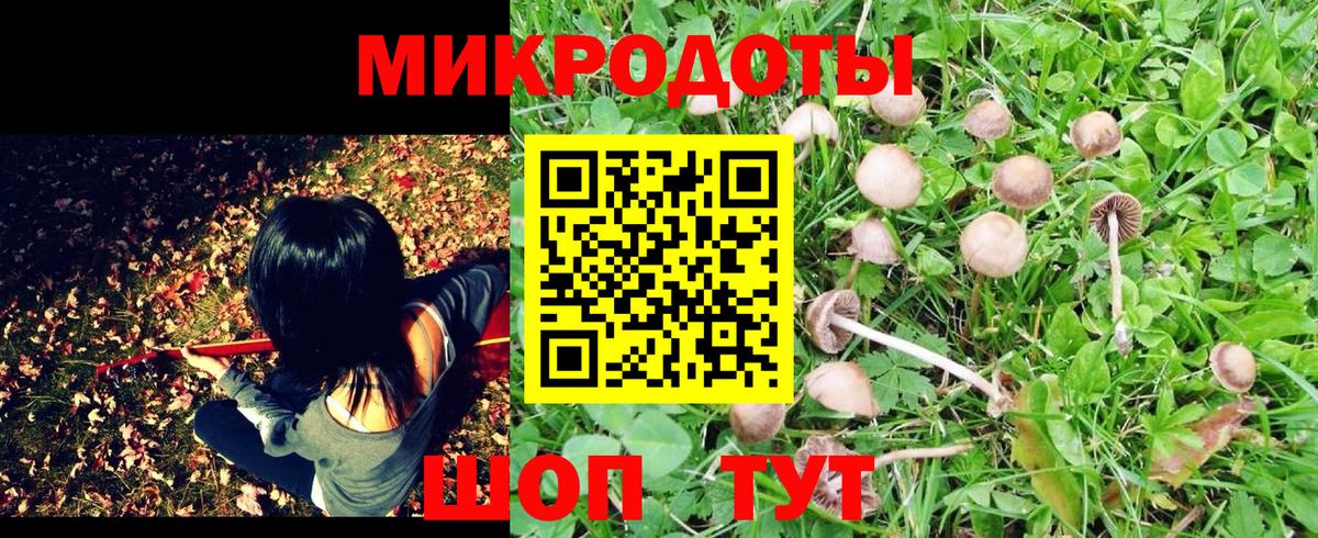 Бердск  Псилоцибиновые грибы Magic Shrooms  Псилоцибиновые грибы MAGIC MUSHROOMS  Вход с VPN 